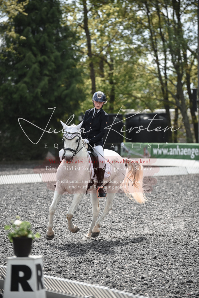 20230513_JK-Röhrsdorf-14-896 | Pferde- und Turnierfotografie in Westsachsen. Pferdeportraits, Auftragszeichnungen und intuitive Kunst.