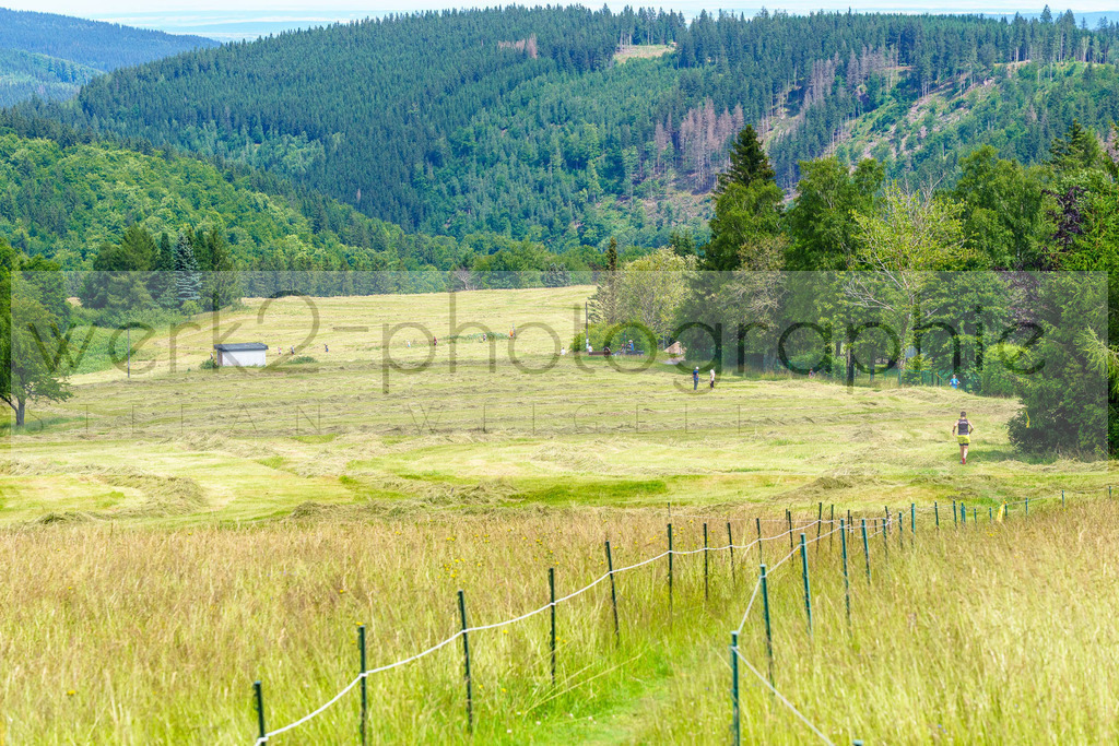Schneekopflauf 2024 | Am 6. Juli 2024 startete der 21. Schneekopflauf von Schmiedefeld zum Schneekopf.