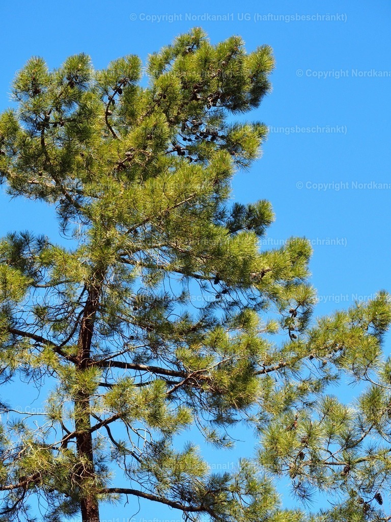 IMG_2939 | OLYMPUS DIGITAL CAMERA          - Realisiert mit Pictrs.com