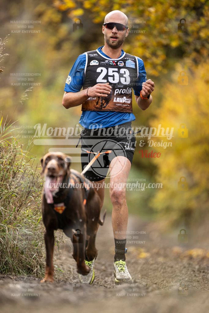MompixPhotography_ICF_WC_2024_SA_Run_-43 | PayLife