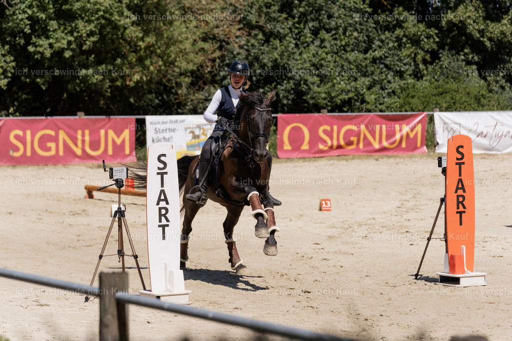 WM_SP_48_SinaFilmArt_IN06783 | working equitationturnier fotograf videograf stoibphotography marixx film working equitation deutschland reitsport turnierfotografie eventfotografie equestrian events