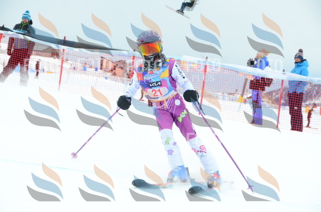 DSC_0780 | holidayphoto