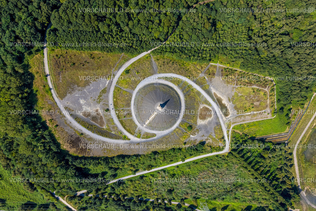 Gelsenkirchen240809378GE-Sued | Luftbild, Halde Rheinelbe im Waldgebiet mit Skulptur Himmelstreppe, Senkrechtaufnahme, Ückendorf, Gelsenkirchen, Ruhrgebiet, Nordrhein-Westfalen, Deutschland
