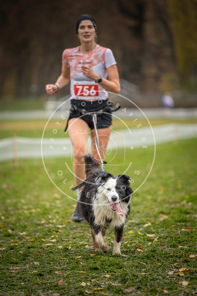 CaniXpix_DV3A9382 | Hundefotografie, Tierfotograf, Pfotenfotografie, Fotoshooting Hund, Hunde Portrait, Hundesport, Hundeportraits, Heideshooting, Hunde, Sportfotograf, Hundefotograf, Turnierhundsport, THS,  - Realisiert mit Pictrs.com