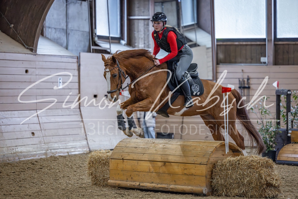 20260221-_3LI9111 | Tierfotografie Pferde, Hunde, Katzen, Haustiere.
Turnierfotografie Reitturniere, Reiten, Springreiten, Dressur in Hanau, dem Main-Kinzig-Kreis und dem Rhein-Main- Gebiet um Frankfurt