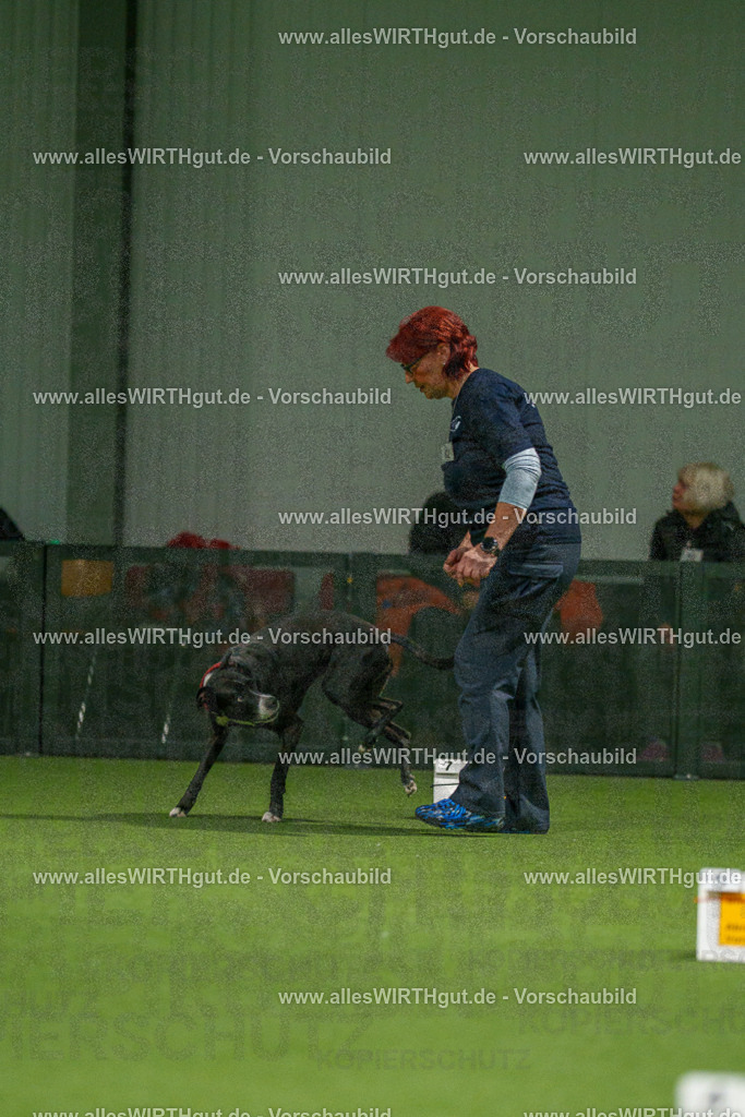 7R507367 | Professionelle Tierfotografie in Mönchengladbach von Daniel Wirth (allesWIRTHgut). Liebevolle & natürliche Bilder von Hunden & Katzen für unvergessliche Erinnerungen.