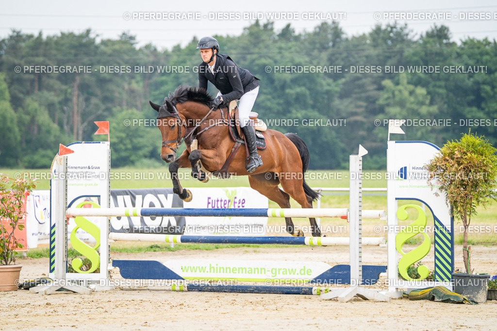 DSC09436 | Pferdegrafie