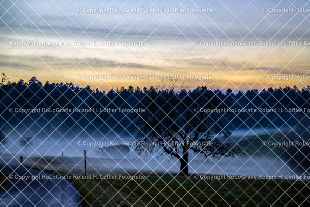 Nebellandschaft_01 | Abendnebel auf den Wiesen - Realisiert mit Pictrs.com