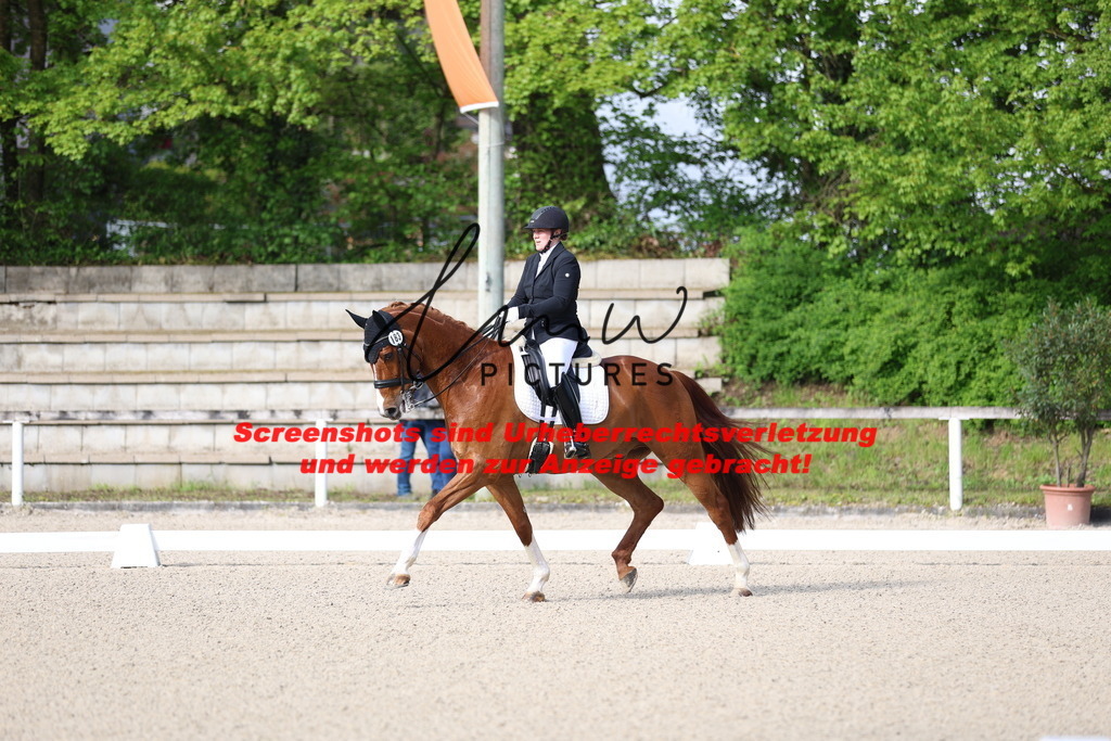 A40A3349 | lmwpictures - Realisiert mit Pictrs.com