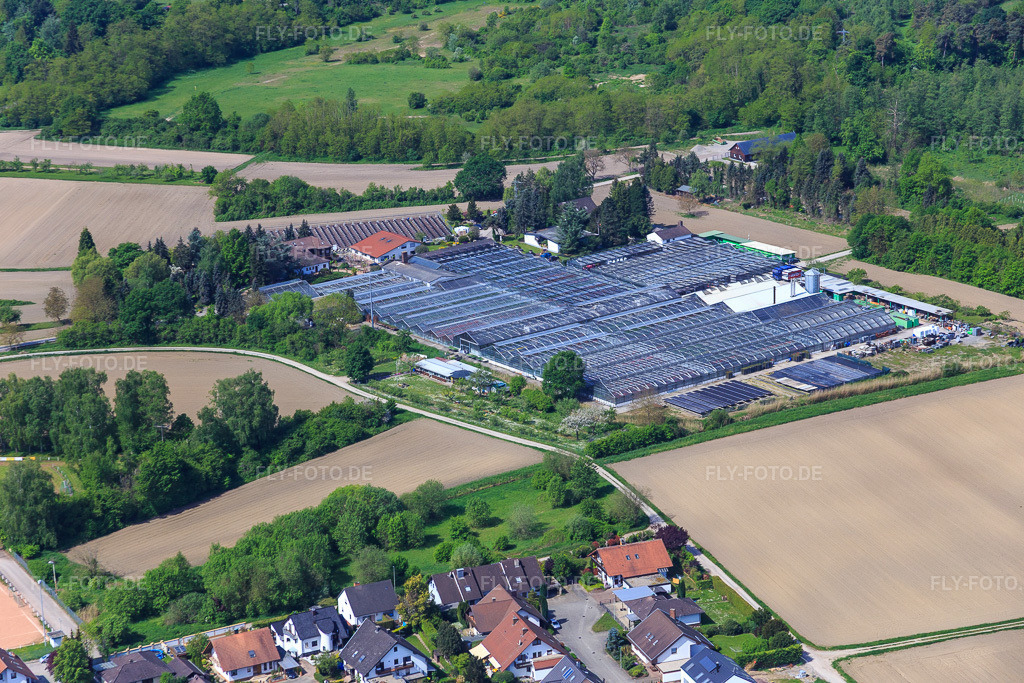 Luftbild: Geranien Endisch in Hagenbach im Bundesland Rheinland-Pfalz in Deutschland. Foto: IMG_078455.jpg vom 08.05.2015 durch Werner Riehm/FLY-FOTO.de