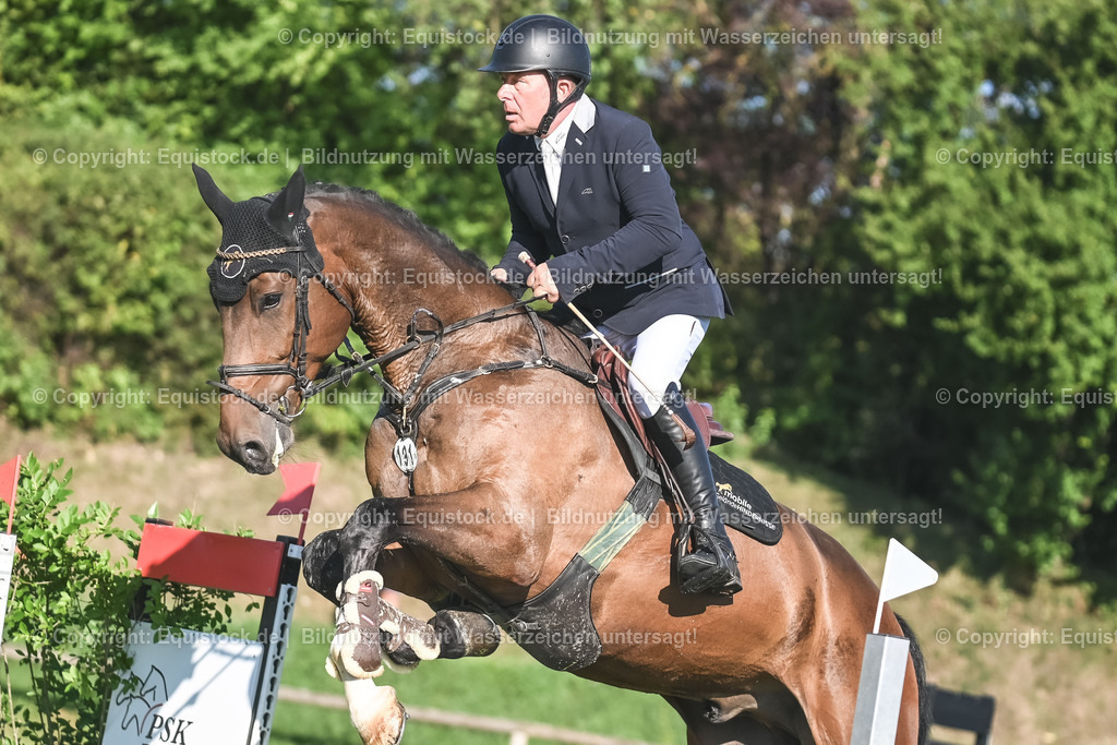 20230908_14-15_Springpferde-A_0071 | equistock