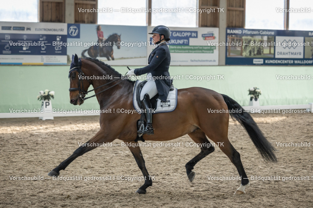 _D5A6602 | Emotionale Pferde- & People-Fotografie rund um Heidelberg, Leimen & Umgebung. Natürliche Fotos von Pferd, Mensch & Familie. Jetzt Termin sichern!