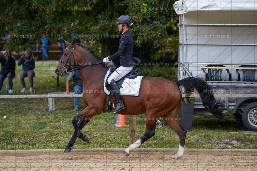 20231007-SN_00768 | Professionelle Turnier- und Reitsportfotografie - mit dem Finger am Auslöser. Pferdebilder aus dem Reitsport von den Turnierfotografen  Bayern , Pferdefotograf Bayern, Pferdeshooting Turnierbilder, Hochzeitsfotograf, Eventfotograf, Hochzeitsbilder