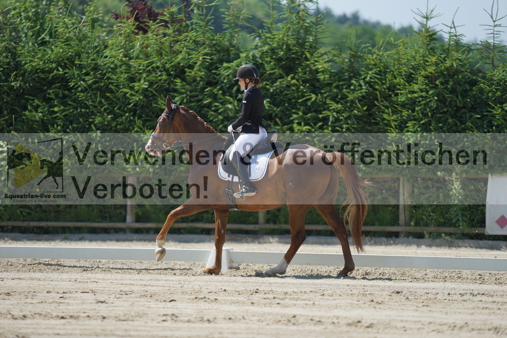 DSC02293 | equestrian-live-com