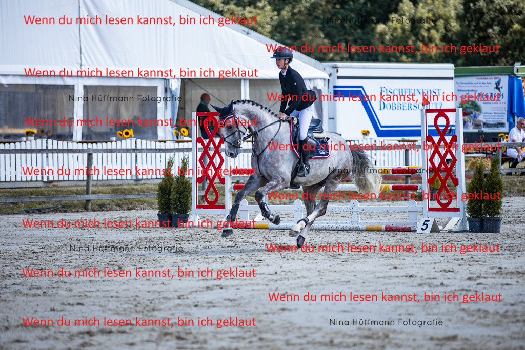 BK1A5153 | Turnierbilder Turnierfotos Nina Hüffmann Turnierfotografie Pferdefotografie Tierzeichnung Haustierzeichnung Pferdezeichnung Hundezeichnung Videograf  - Realisiert mit Pictrs.com