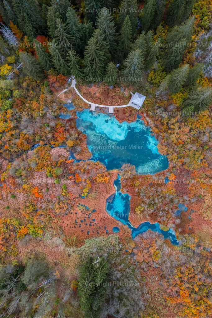 Zelenci-68 | piet_flosse