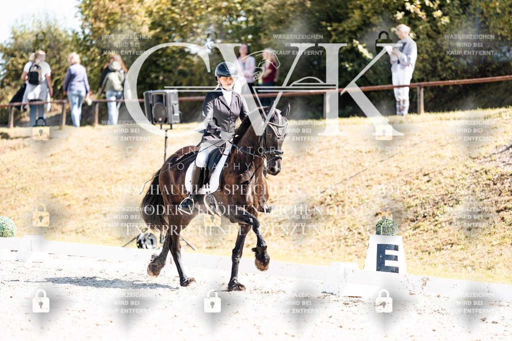 CK904084 | Turnierfotografie Pferdefotografie Trier Rheinland-Pfalz Pferdesport Reitsport Tierfotografie Sportfotografie Pferdevideo Pferdevideografie Equestrianvideography equestrianphotography  - Realisiert mit Pictrs.com