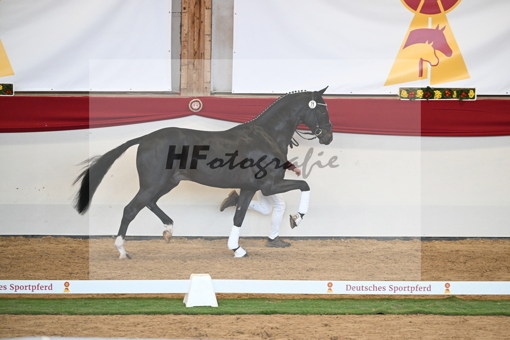 Kat.-Nr. 71 v. Jameson RS2_Greim_2250595 | hf-fotografie - Realisiert mit Pictrs.com