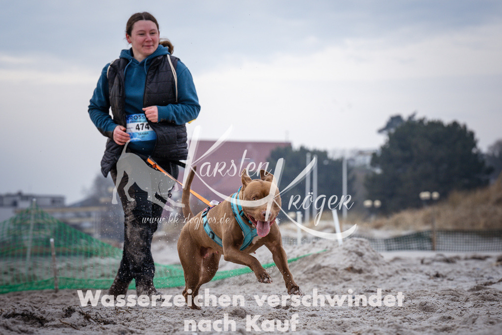 1220_ZZ93674 | kk-dogfotos