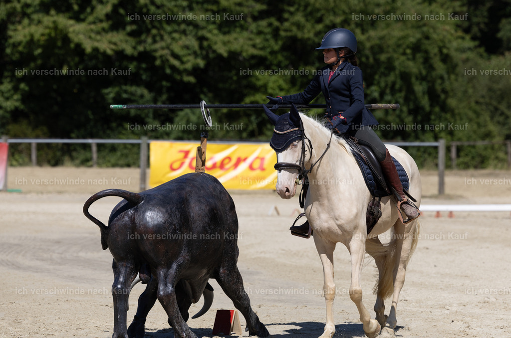 WE_Trail_27_KerstinBernhardt-8 | working equitationturnier fotograf videograf stoibphotography marixx film working equitation deutschland reitsport turnierfotografie eventfotografie equestrian events
