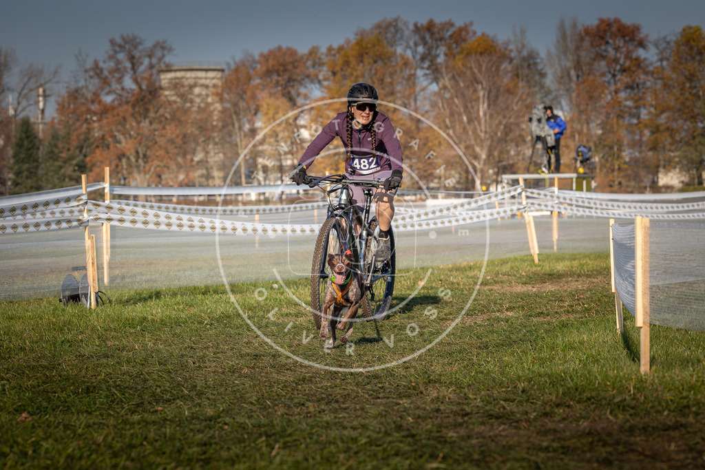 CaniXpix_0L8A4711 | Hundefotografie, Tierfotograf, Pfotenfotografie, Fotoshooting Hund, Hunde Portrait, Hundesport, Hundeportraits, Heideshooting, Hunde, Sportfotograf, Hundefotograf, Turnierhundsport, THS,  - Realisiert mit Pictrs.com