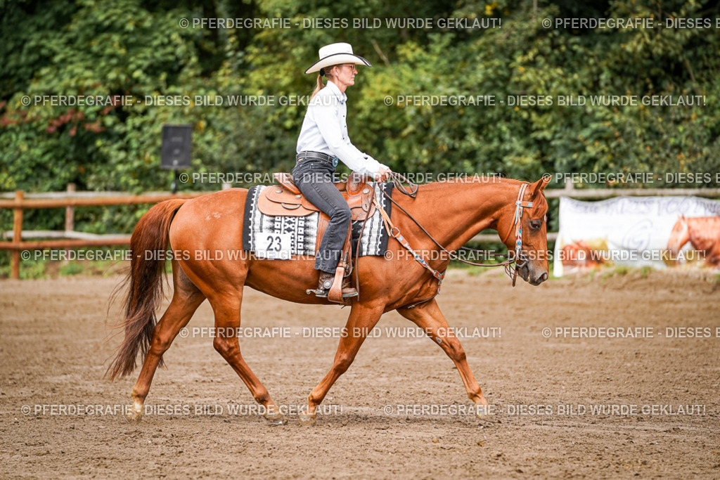 DSC06645 | Pferdegrafie