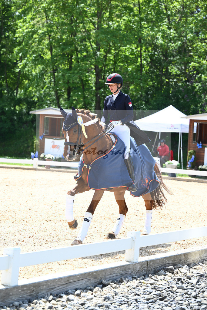 Baer_Superstar_12243989 | hf-fotografie - Realisiert mit Pictrs.com