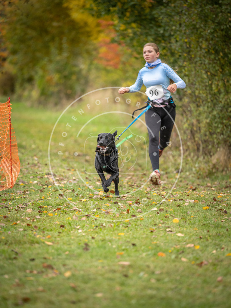 Pfotenfotografie_DV3A3364 | Hundefotografie, Tierfotograf, Pfotenfotografie, Fotoshooting Hund, Hunde Portrait, Hundesport, Hundeportraits, Heideshooting, Hunde, Sportfotograf, Hundefotograf, Turnierhundsport, THS,  - Realisiert mit Pictrs.com