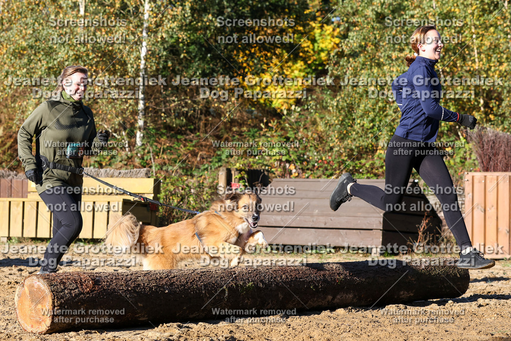 Dog Paparazzi - Strongdog 10-25-1482 | Dog Paparazzi Jeanette Grottendiek Fotografie & Videografie - Realisiert mit Pictrs.com