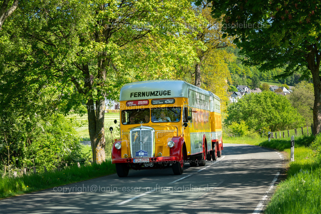 Oldtimer Sauerland Rundfahrt 437 Mercedes Benz O 6600 010 | Brilon, Deutschland - 10. Mai 2025: Firma Witteler veranstaltet die Oldtimer Sauerlandrundfahrt (OSR). In Gevelinghausen wurde auf der Landstraße ein Mercedes Benz O 6600 aus dem Jahr 1955 fotografiert.