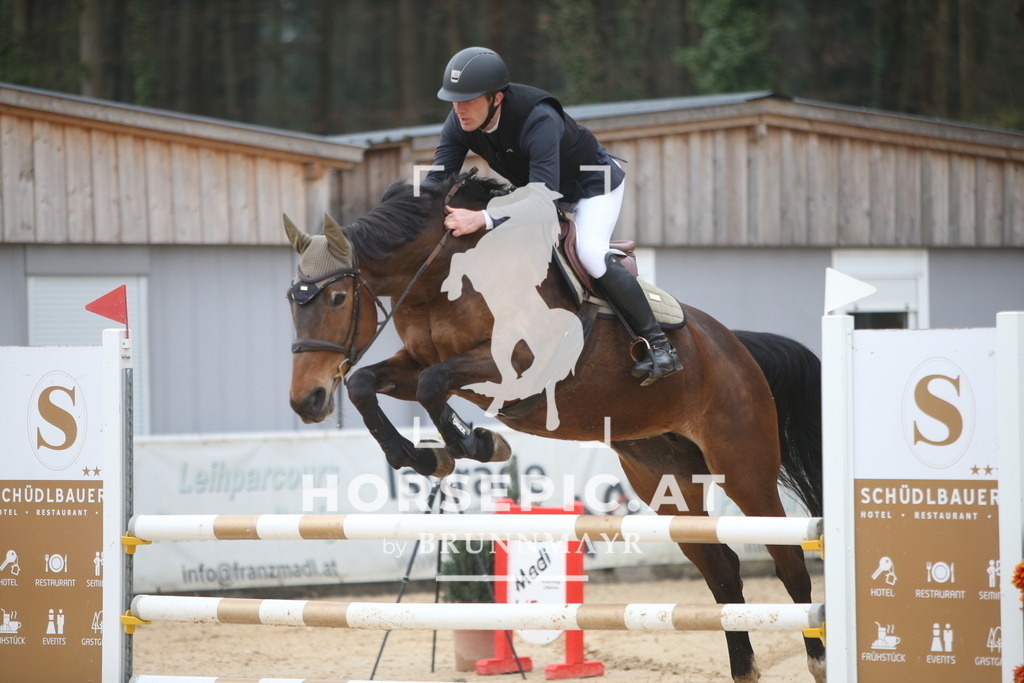 PP013306 | Willkommen bei Brunnmayr - Design & Fotografie – Ihrem Spezialisten für Reitturniere und Pferdeveranstaltungen in Oberösterreich, Salzburg und Bayern! Seit über 17 Jahren sind wir leidenschaftlich dabei.