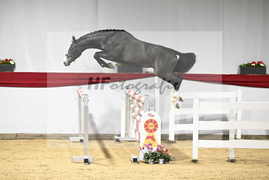 Kat-Nr. 41 v. Asca_Buchele_63221031 | hf-fotografie - Realizzato con Pictrs.com