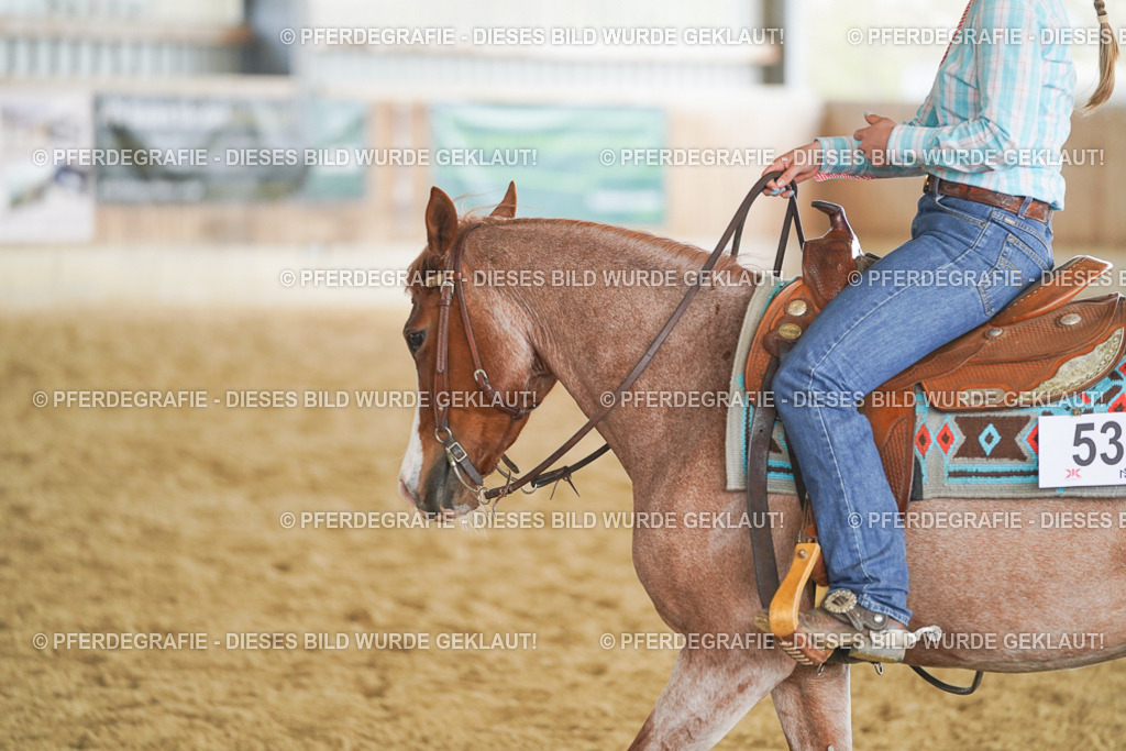 DSC05750 | Pferdegrafie