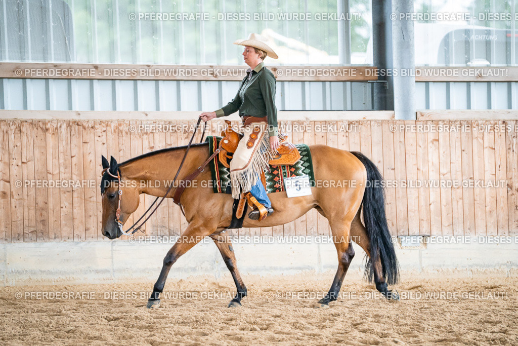 DSC03617 | Pferdegrafie