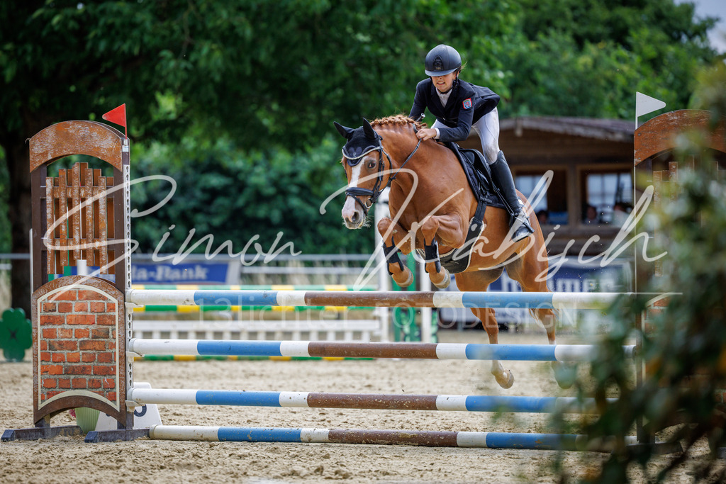 20260705-_3LI5460 | Tierfotografie Pferde, Hunde, Katzen, Haustiere.
Turnierfotografie Reitturniere, Reiten, Springreiten, Dressur in Hanau, dem Main-Kinzig-Kreis und dem Rhein-Main- Gebiet um Frankfurt