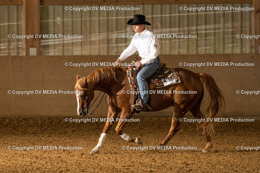 LAU00977 | dv-media-shop - Realisiert mit Pictrs.com