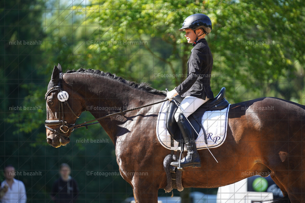 20240706-FAH04815 | Grafing Turnierfotos, Reitverein Ebersberg, Turnierfotografen Bayern, reitsportbilder, Pferdefotograf, reitsportfotograf, Sportbilder, Reitsportfotografie, Fotoagentur Herrmann, Turnierfotograf