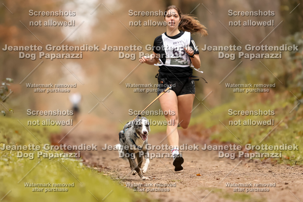 Dog Paparazzi - Speedhunter Mannheim  2025-187 | Dog Paparazzi Jeanette Grottendiek Fotografie & Videografie