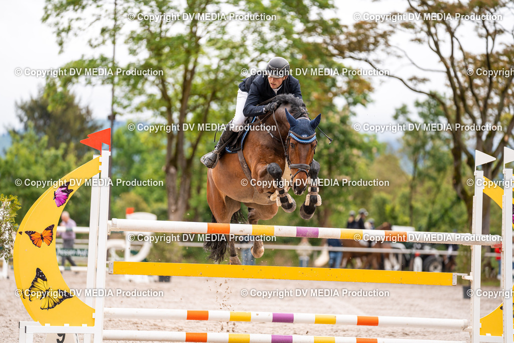 Eppelheim Tag 3-34 | dv-media-shop - Realisiert mit Pictrs.com