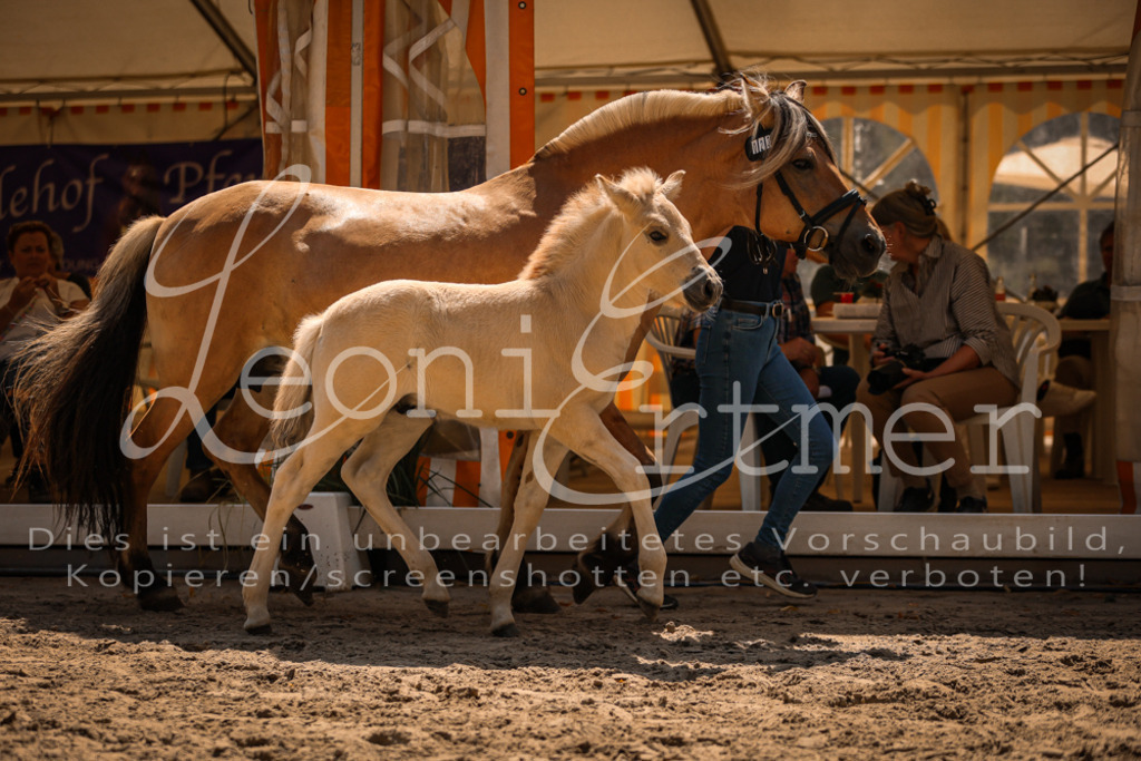 05.DoF00098 | Leoni Ertmer Photography - Realisiert mit Pictrs.com