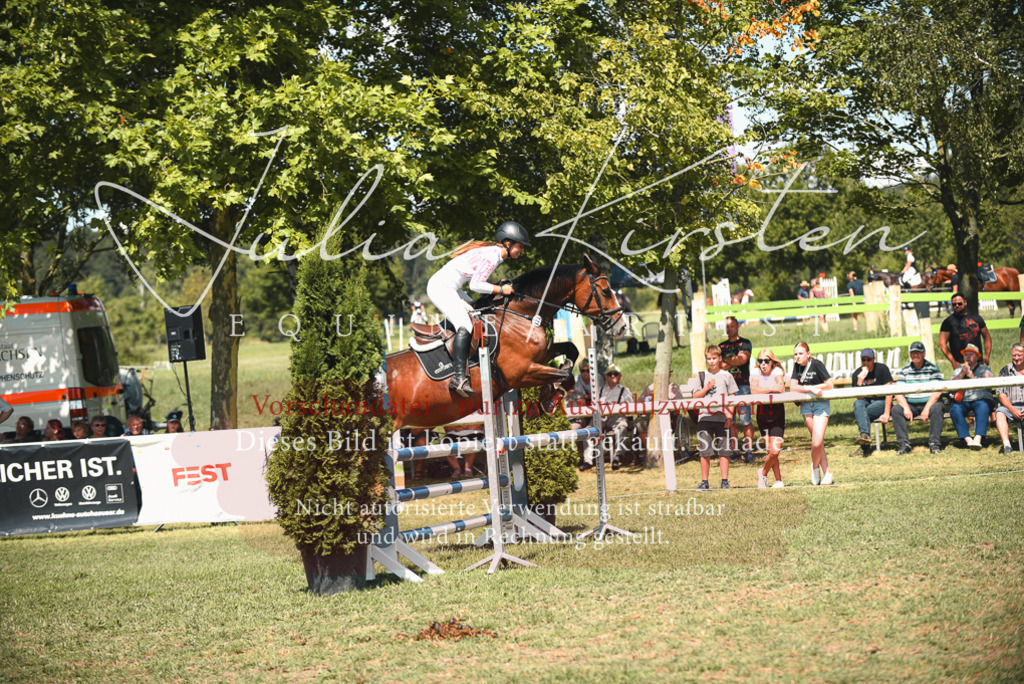 DSC_6567 | Pferde- und Turnierfotografie in Westsachsen. Pferdeportraits, Auftragszeichnungen und intuitive Kunst.
