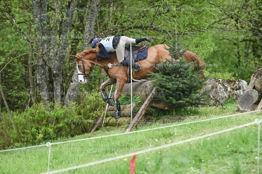 20230513_CCI2_Section2_Gelände_0057 | equistock