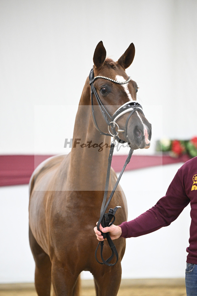 Kat-Nr. 138 Flashbang x Benetton Dream_Christian Gaeher_47251436 | hf-fotografie - Realisiert mit Pictrs.com