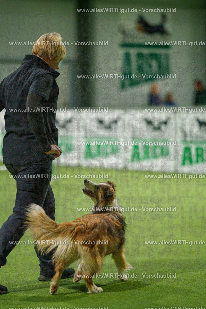 7R504407 | Professionelle Tierfotografie in Mönchengladbach von Daniel Wirth (allesWIRTHgut). Liebevolle & natürliche Bilder von Hunden & Katzen für unvergessliche Erinnerungen.