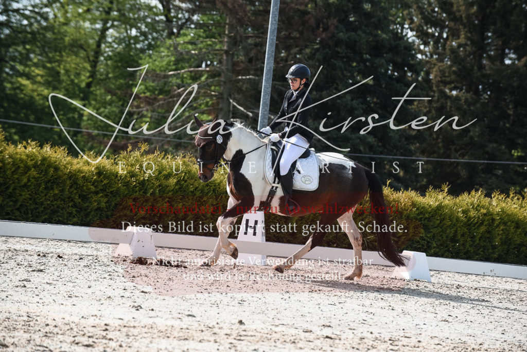 20230518_JK-Röhrsdorf-09-1341 | Pferde- und Turnierfotografie in Westsachsen. Pferdeportraits, Auftragszeichnungen und intuitive Kunst.