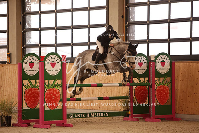 1J2A4193Alina Maack_ Karat du Scal__ Kn302_ Hohen Wieschendorf_ Glantz | Foto- und Videografie für alles rund ums Pferd. Hochwertige Bilder und Videos vom Spring- und Dressurreiten, Voltigieren & mehr. Jetzt aktuelle Veranstaltungen und Preise im Shop ansehen. - Realisiert mit Pictrs.com