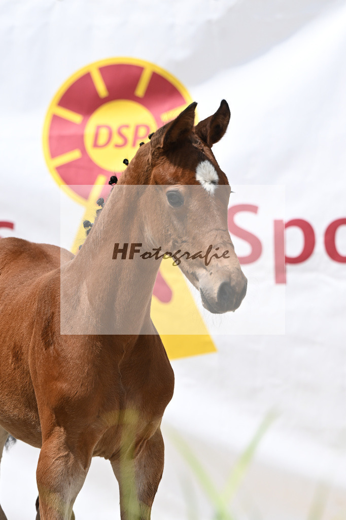 Cardento x Heartbreaker_SF_Wagner_12250851 | hf-fotografie - Realisiert mit Pictrs.com