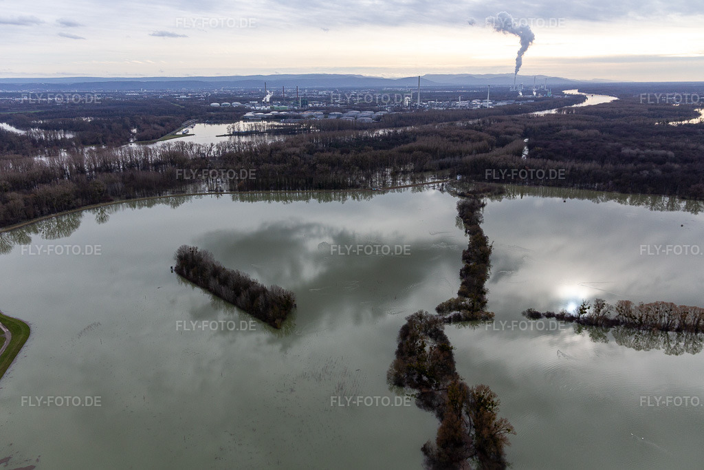 Luftbild: Überfluteter Altrhein / Polder Neupotz in Wörth am Rhein im Bundesland Rheinland-Pfalz in Deutschland. Foto: IMG_124213.jpg vom 04.02.2021 durch Werner Riehm/FLY-FOTO.de