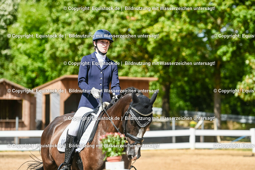 20230715_02_Dressurreiterprüfung Kl.L_0278 | equistock