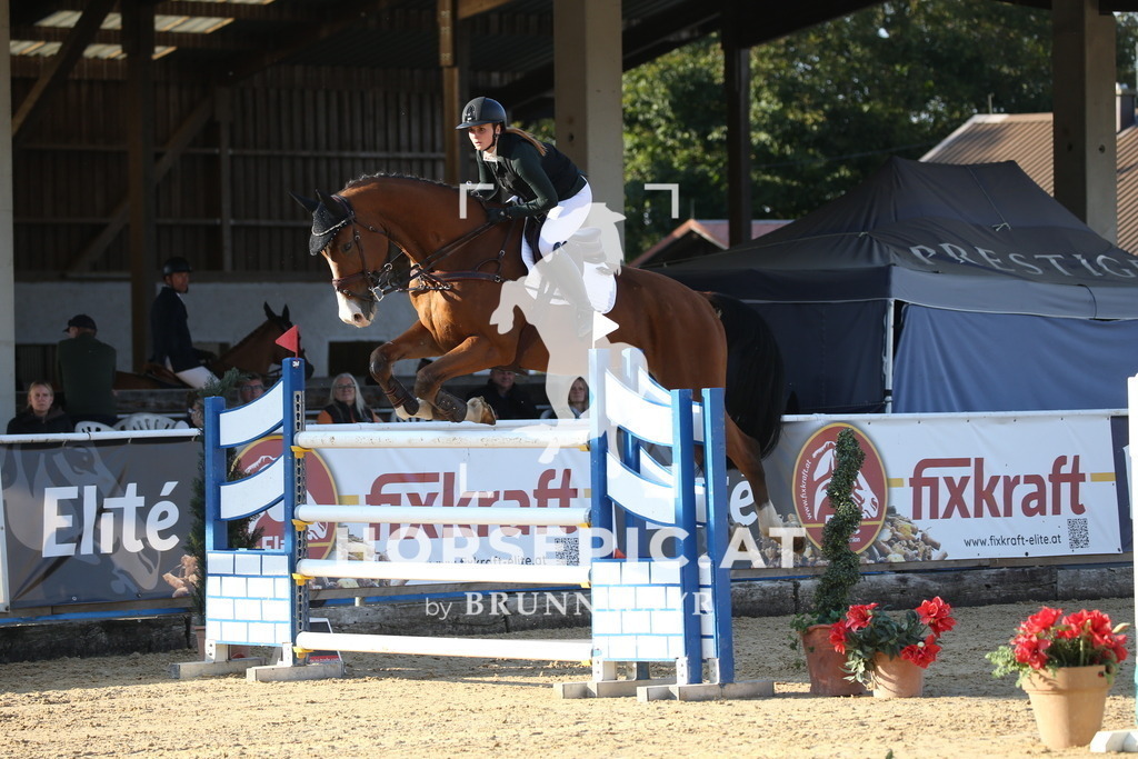 DL2Q5926 | Willkommen bei Brunnmayr - Design & Fotografie – Ihrem Spezialisten für Reitturniere und Pferdeveranstaltungen in Oberösterreich, Salzburg und Bayern! Seit über 17 Jahren sind wir leidenschaftlich dabei.